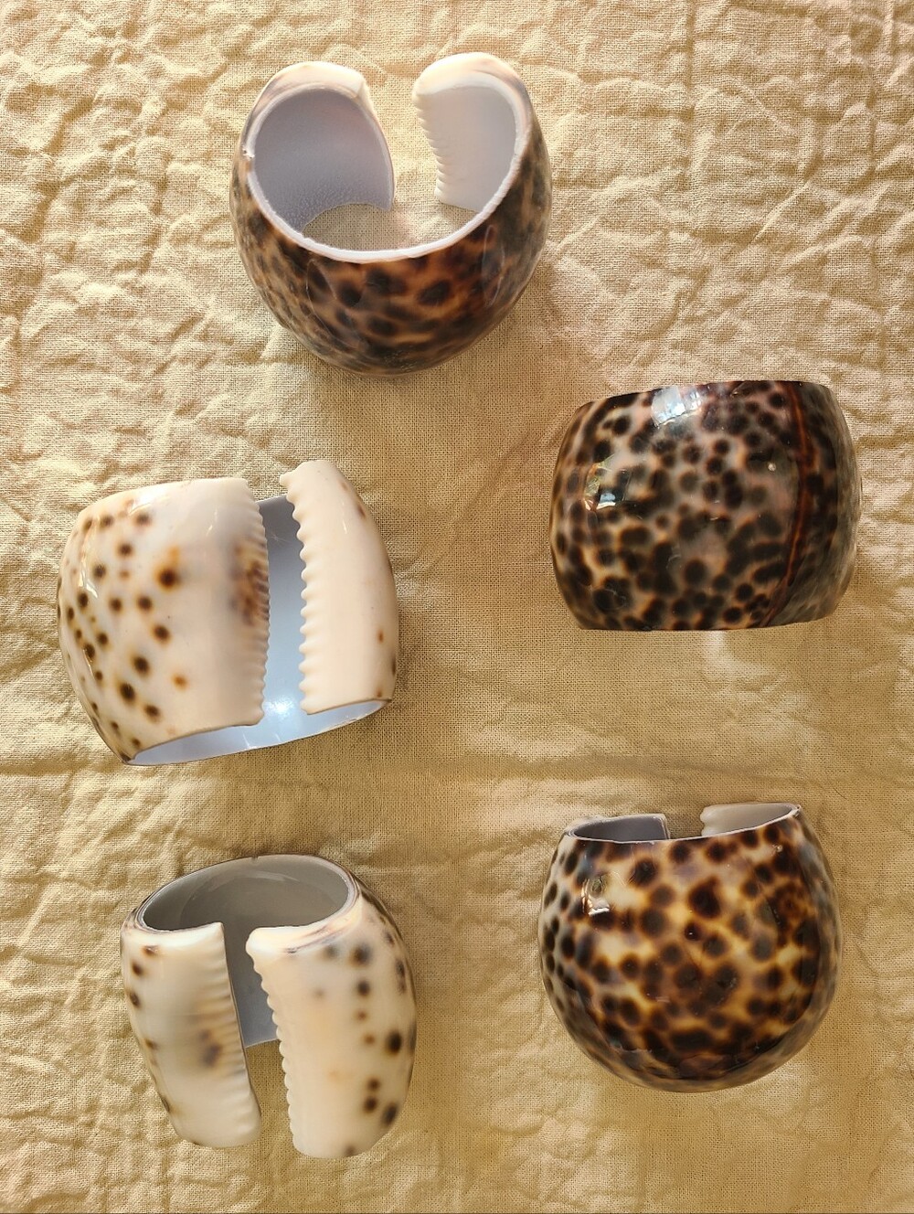 Set of 5 Genuine Tiger Cowrie Sea Shell Napkin Rings Holders Coastal Tablescape